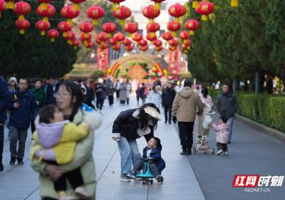 组图丨长沙春日图鉴：满园春色映欢颜