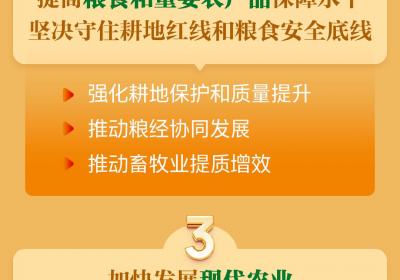 “施工图”来了！今年云南这样做好“三农”工作