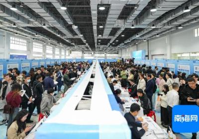 组图丨“才”聚琼州！海南2025年春节返乡人才对接会火热开场