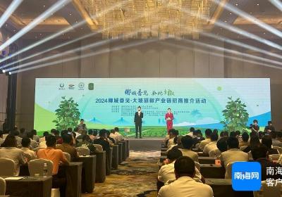 海口计划今年新增25家“椰城香见”授权企业