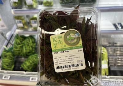 报！头茬香椿已上市！昆明市场价格……