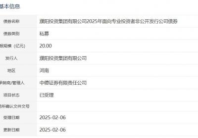 濮阳投资集团拟发行20亿元公司债，已获深交所受理