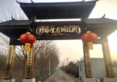 逛北京乡村·过京味大年｜逃离城市奔赴野谷，邂逅有机京味大年