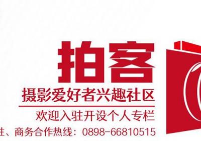 拍客 | 春节将至，海口花卉市场“年味浓”