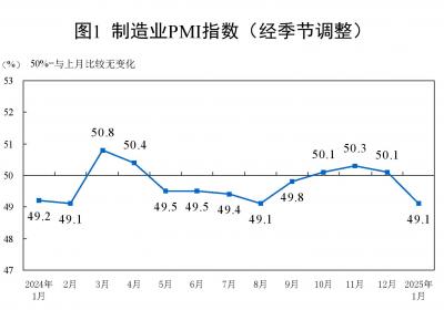 1月制造业PMI降至49.1%，环比下降1.0个百分点