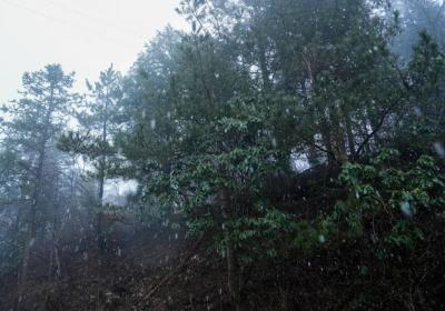 宁波下雪了