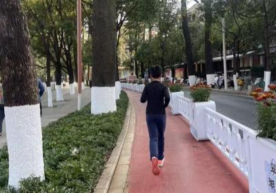 呼声回应｜昆明翠湖跑道隔离花坛影响交通？官方回复：将不断提升完善