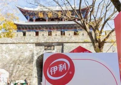 安慕希“去大理赶gai”活动：传统与现代的新春交融