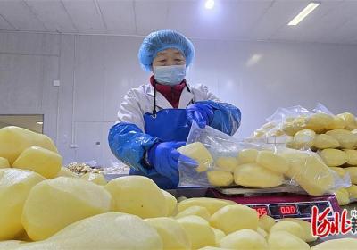 新春走基层｜春节档接单忙，一天25吨净菜供北京