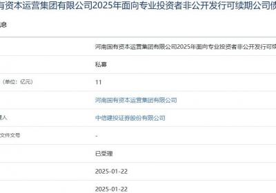 河南资本集团拟发行11亿元可续期公司债，获上交所受理