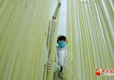 文化中国行|民乐：手工挂面走俏年货市场
