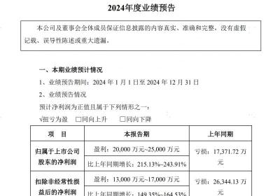 华宝新能：品牌与产品双驱动，营收超预期增长