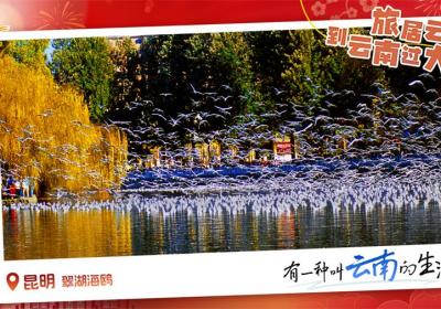 云南16州市邀您共度“滇式”新春