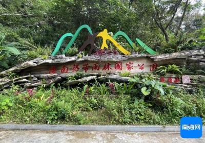 冬游海南 | 五指山冬季旅游热度攀升，雨林风光与民族文化成亮点