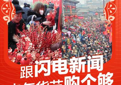 闪电海报丨开心消费过大年！跟闪电新闻来年货节购个够