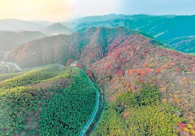 安徽省三条公路入选全国第一批旅游公路项目