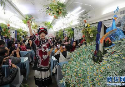 花开四季 “香”约云南｜云南鲜花扮靓春运列车 回家的路一路芬芳