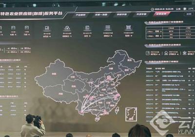 云南高原特色农业供应链咖啡服务平台上线试运行