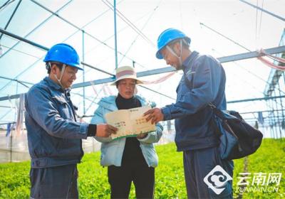 浪漫冬日 赴一场“云云”与湾区老铁的蔬菜之约