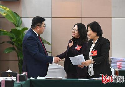 两会现场｜委员支招让“科技红娘”更走俏