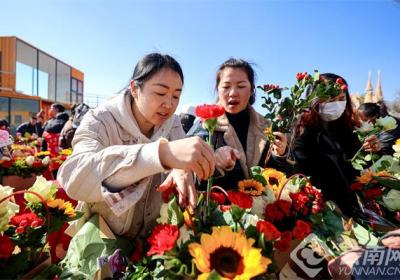 春城花艺迎新年
