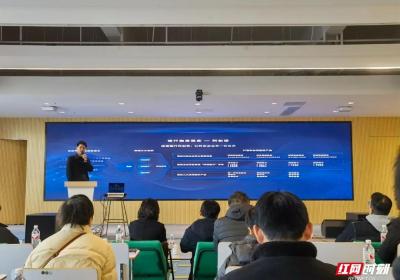 衡阳高新区举行2025年科技型企业增量提质培训暨“银企”对接会