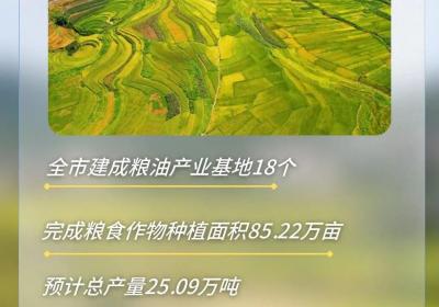 1 4 N！文山市农业产业集群“亮相”！
