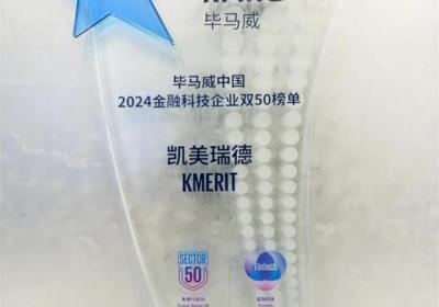 2024毕马威中国金融科技双50榜单：凯美瑞德荣登榜眼