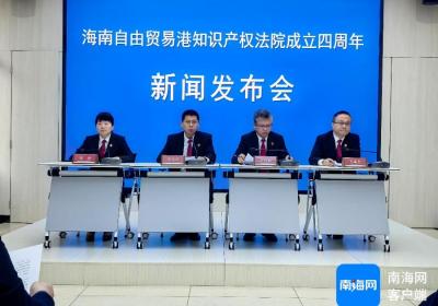 海南2024年受理知识产权案件1319件 以法治助推新质生产力发展