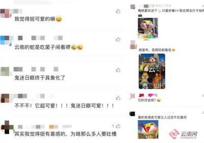 【寻年味·云南】凭丑萌“收割”游客芳心 昆明南屏街“蛇宝宝”爆火出圈！