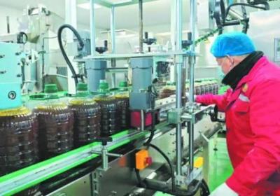【乡村振兴在青海】菜油香飘海子沟