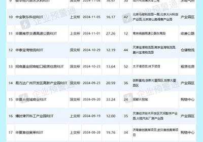 2024年公募REITs发行盘点：29只产品上市，同比增长近5倍