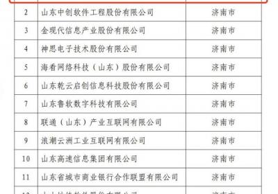 浪潮科技入选山东省大数据企业50强