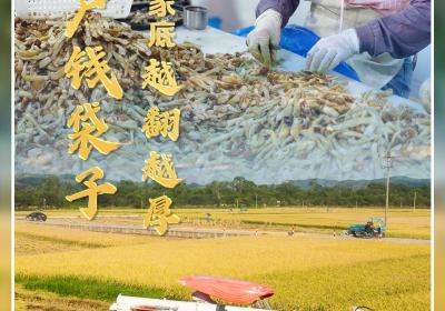 鼓起农户“钱袋子” 云南农业“家底”越翻越厚