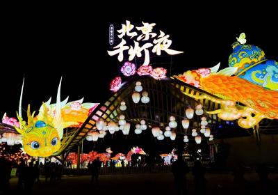 北京千灯夜跨年大秀，市民游客纷纷打卡温榆河公园