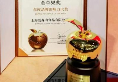上海爱森品牌荣获年度影响力大奖：品质与创新并进