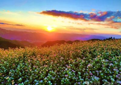 凤庆勐佑镇：厚植优势 旅居产业初具雏形
