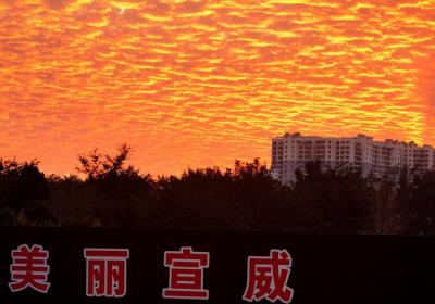曲靖宣威：冬日风景异 无花也缤纷