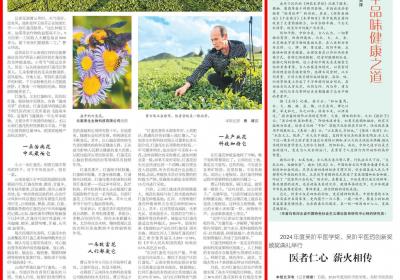 滇南有灵草，人民日报海外版聚焦云南红河灯盏花