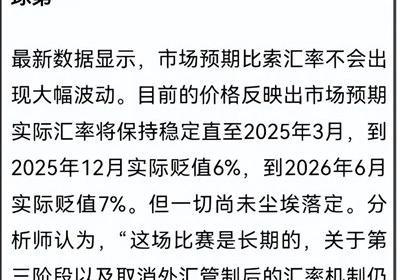 阿根廷汇率升值幅度全球第一？自定义汇率