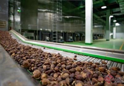 【云新发布】怒江州牢牢守住不发生规模性返贫底线