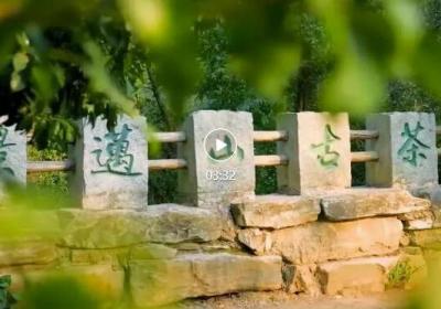 “世界遗产游”全球图片征集活动启动