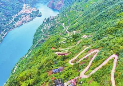 乡村振兴 | 道路通 百业兴 民心畅