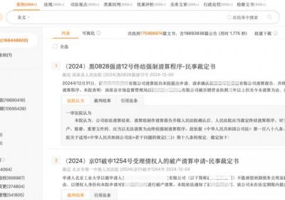 提升法律实务能力，Alpha系统加速法律检索效率