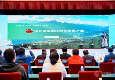 第四届西部农民工返乡创业大赛 | 岳亚南：怒江有颗“福果果”