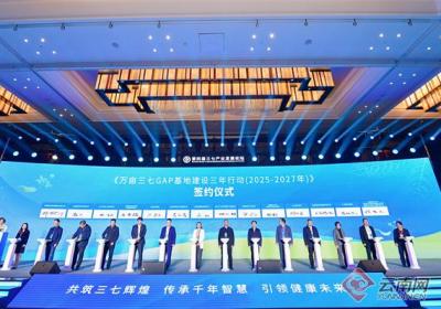 第四届三七产业发展论坛在昆举行 云南省三七产业创新联合体成立