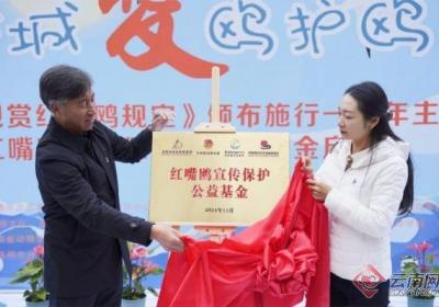 昆明市“红嘴鸥宣传保护”公益基金启动