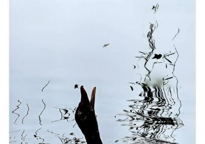 “丹青”中的云师大，动人心弦的美！