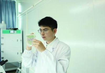 黑暗中，植物感光的“眼睛”有用吗