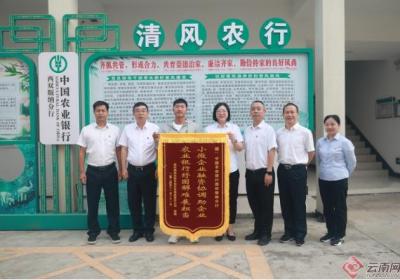 西双版纳州：金融服务助力打通小微企业融资堵点和卡点